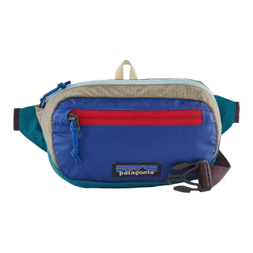 Patagonia Fanny Packs Multicolor