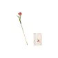 Tulip Hairpin, Red