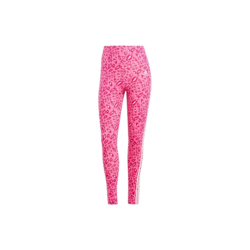 Adidas Clothing Leggings Women's Pink