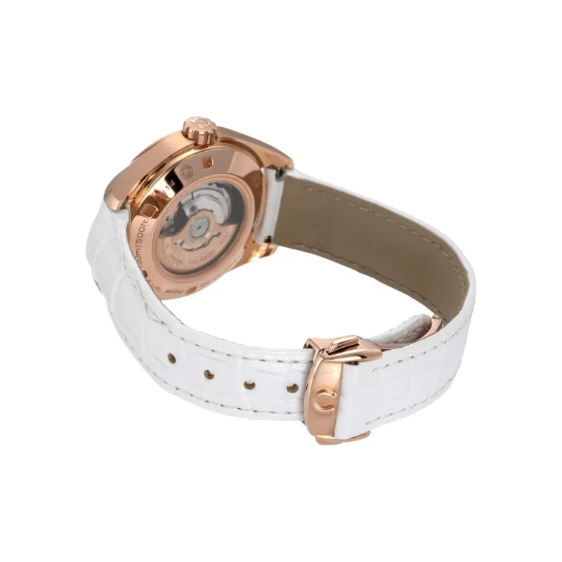 OMEGA Seamaster Aqua Terra 231.53.34.20.55.001-4
