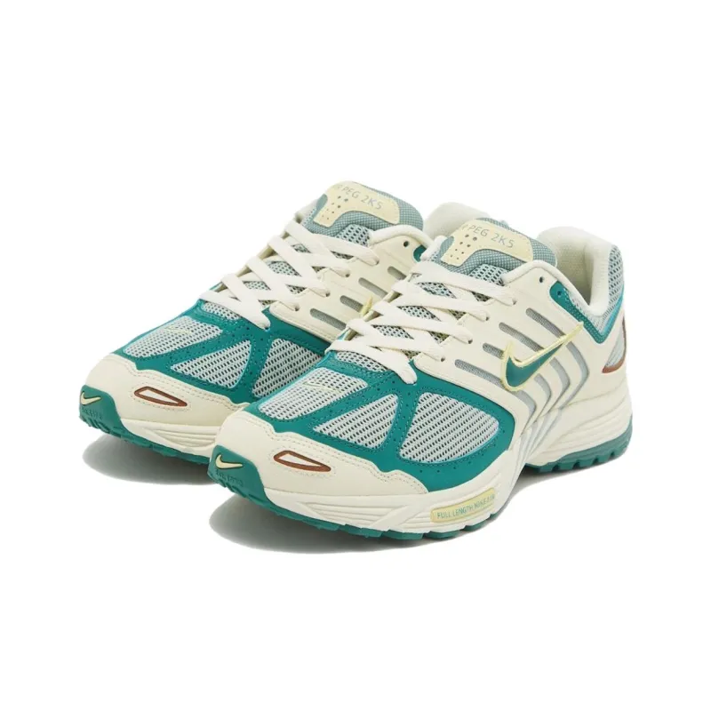 Nike Air Peg 2K5 Bicoastal-2