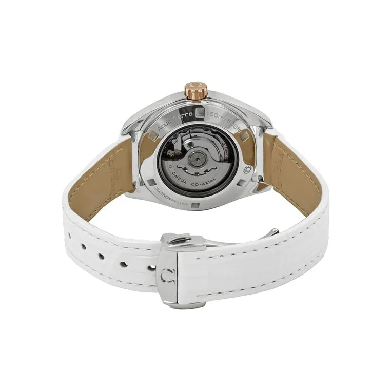 OMEGA Seamaster Aqua Terra 231.28.34.20.55.003-3