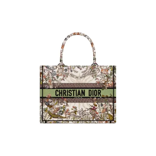 DIOR BookTote Embroidery Tote Bag Shopping Bag Handbag Medium Size Women's Beige & Multicolor