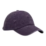 21A002B Purple