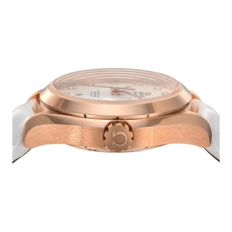 OMEGA Seamaster Aqua Terra 231.53.34.20.55.001-2
