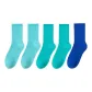 5 Pack, Lake Blue X2+Turquoise Blue X2+Klein Blue
