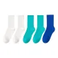 5 Pack, White X2+Cyan Blue X2+Klein Blue