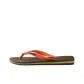 Brown Orange