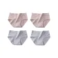 Light Blue+Light Blue+Light Purple+Light Purple