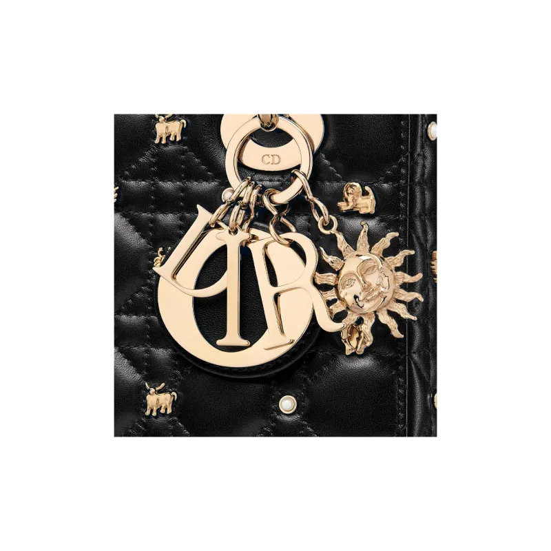 DIOR Lady DiorMy ABCDior Cow Leather Dior Bag Shoulder Bag Crossbody Bag Handbag Small Size Women's Black-5