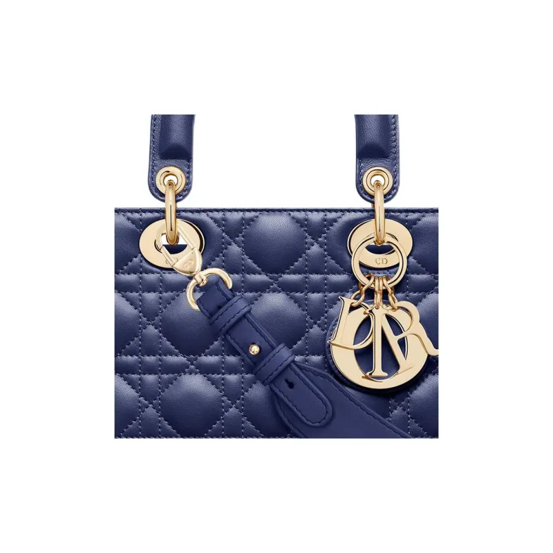 DIOR Lady DIOR Handbags-4