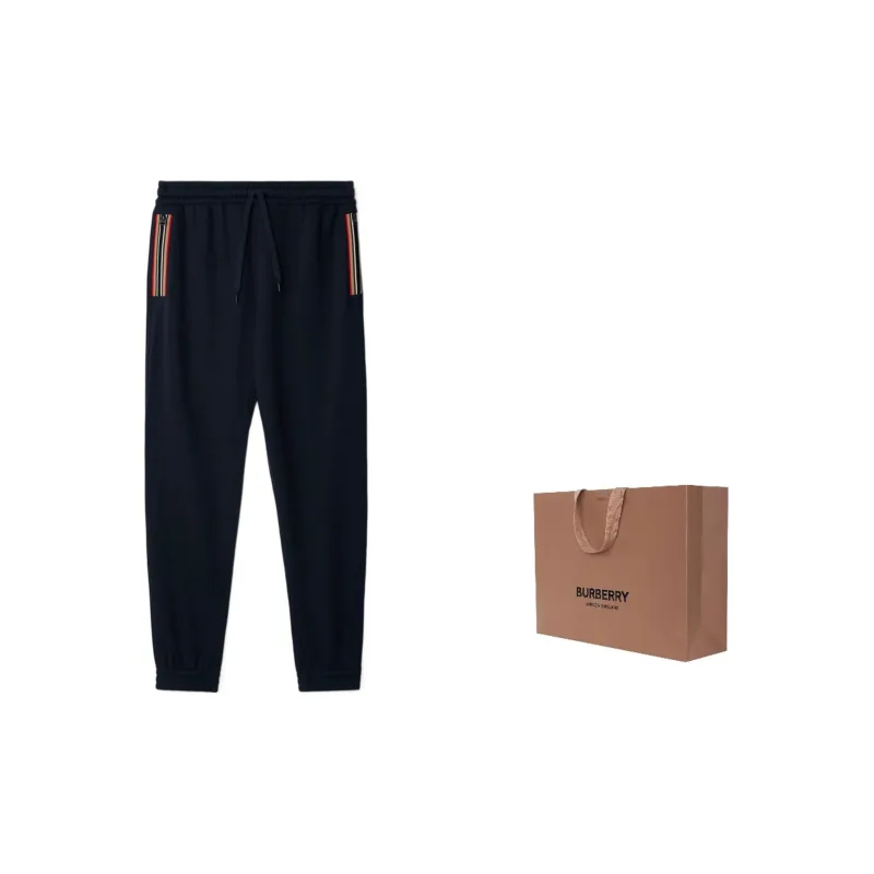 Burberry SS24 Casual Pants Men's Navy-2