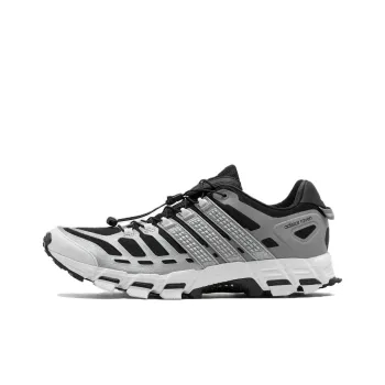 Adistar Raven Adidas 'Tech Silver'