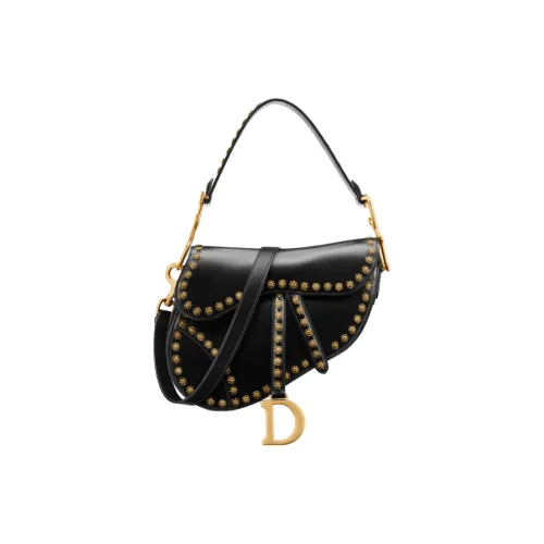 DIOR Saddle Handbags