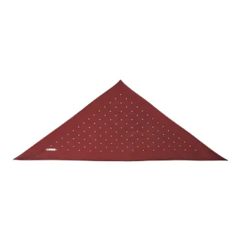 Loro Piana Silk Scarves Women's Red
