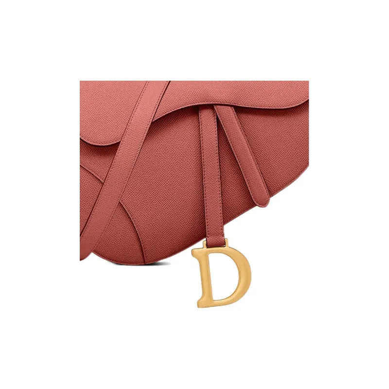 DIOR Saddle Handbags-5