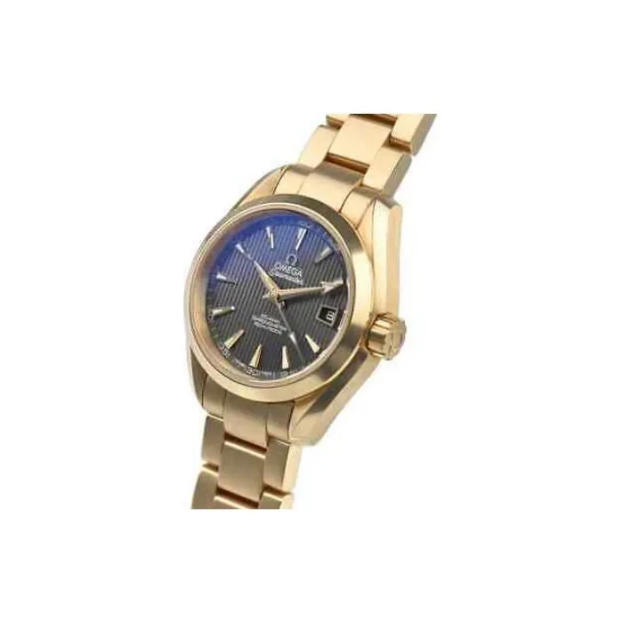 OMEGA Seamaster Aqua Terra 231.50.30.20.06.002-2