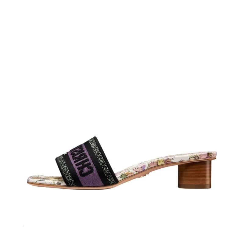 DIOR Slide Slippers Women's Multicolor-0