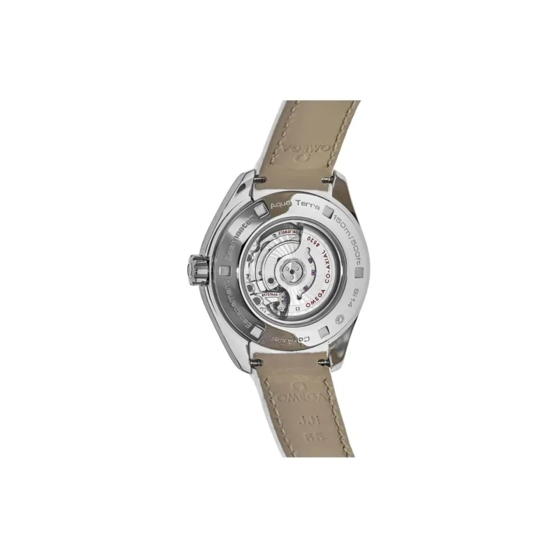 OMEGA Seamaster Aqua Terra 231.13.34.20.55.001-3