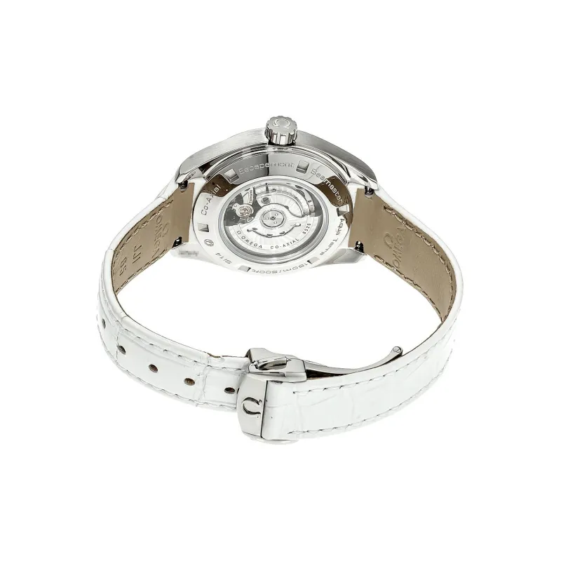 OMEGA Seamaster Aqua Terra 231.13.34.20.55.001-2
