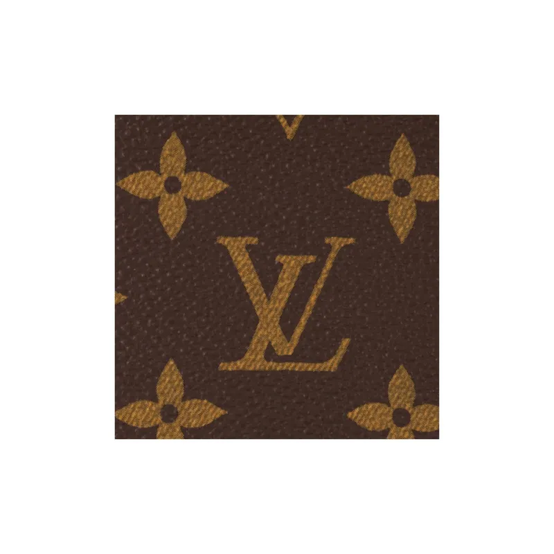 LOUIS VUITTON Vibe Monogram-4