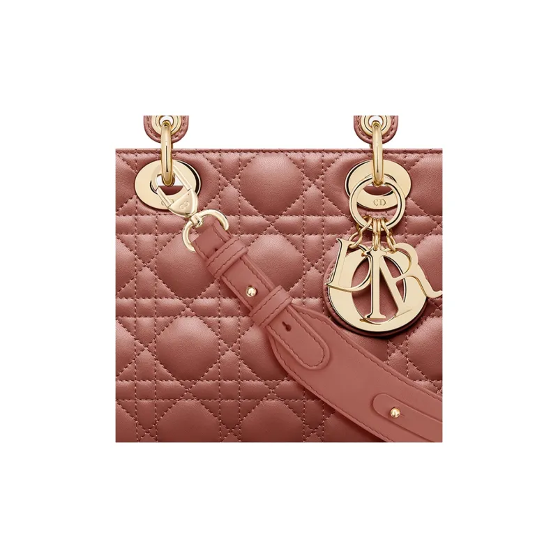 DIOR Lady DiorMy ABCDior Sheepskin Daisie Bag Shoulder Bag Crossbody Bag Handbag Small Size Women's Rusty Red-4