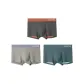3 Pack (Autumn Equinox Yellow Green/Dusk Brown Green/Sunrise Pink Blue)