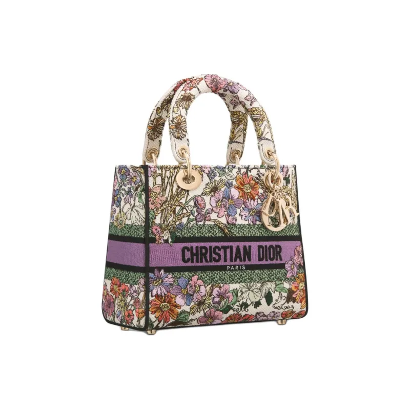 DIOR Lady D-Lite Handbags-2