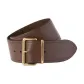 Ochre Brown