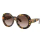 Tortoiseshell