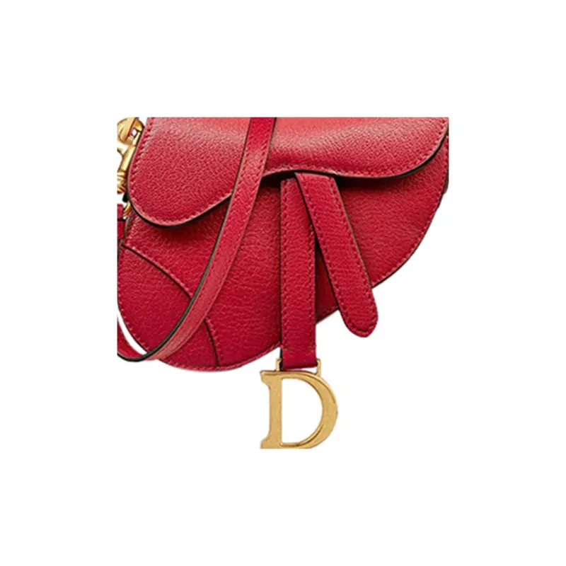 DIOR Saddle Goatskin Saddle Bag Shoulder Bag Crossbody Bag Handbag Mini Women's Red-5