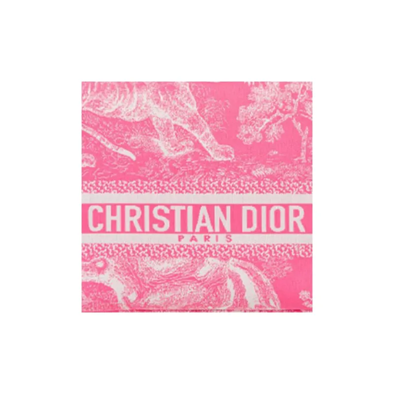 DIOR DiorTravel Embroidery Lunch Box Bag Handheld Handbag Small Size Women's Neon Pink-4