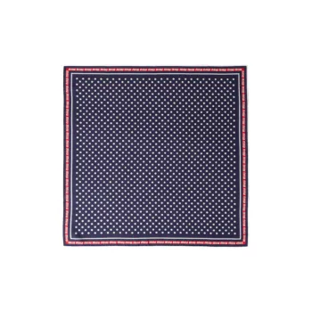 MIU MIU Silk Scarves Women's Blue