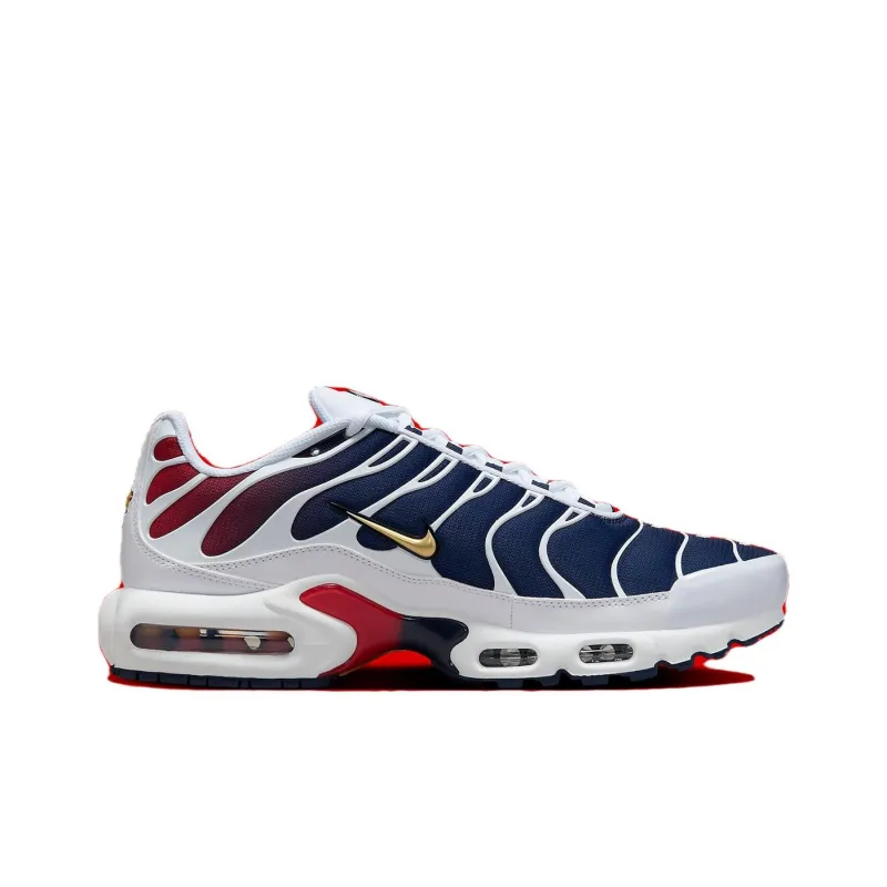 Nike Air Max Plus Psg-1