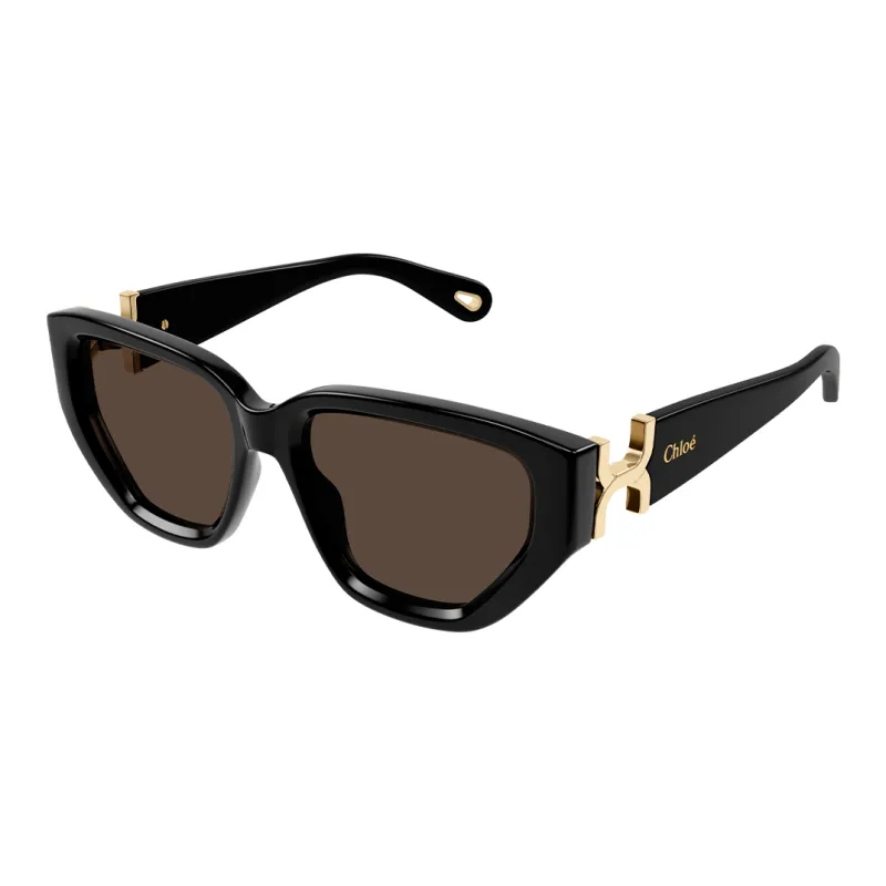 Chloe Irregular Shape Sunglasses Men's Black-0