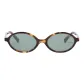 Tortoiseshell