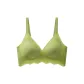 Avocado Green