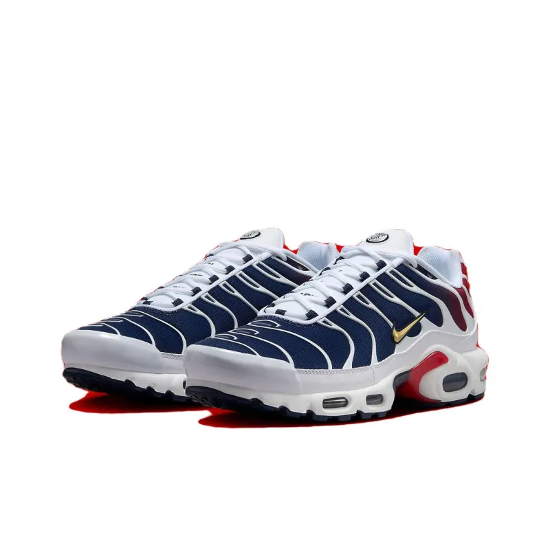 Nike Air Max Plus Psg-2