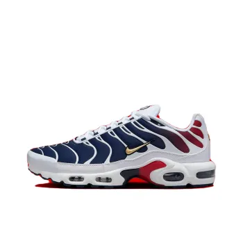 Nike Air Max Plus Psg