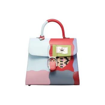 Delvau X CASPER Collaboration Brillant Box Calf Calfskin With Taurillon Soft Calfskin Handbag Women's Multicolor