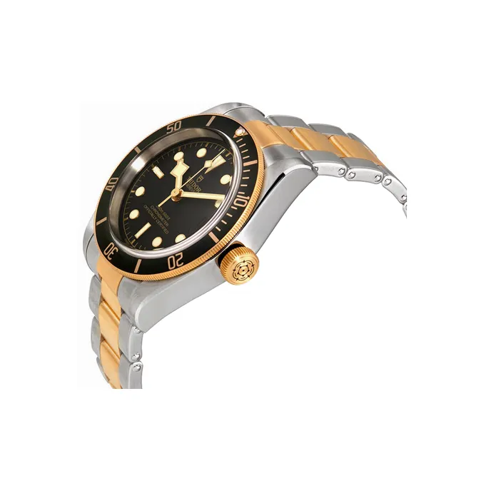 TUDOR 2024 Unworn Black Bay S&G 41mm-1