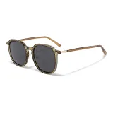 Green Gray Lens