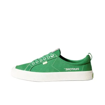 CARIUMA OCA Low-top Canvas Sneakers