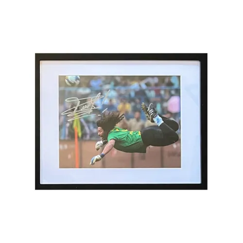 ICONS.com Football Fan Souvenir