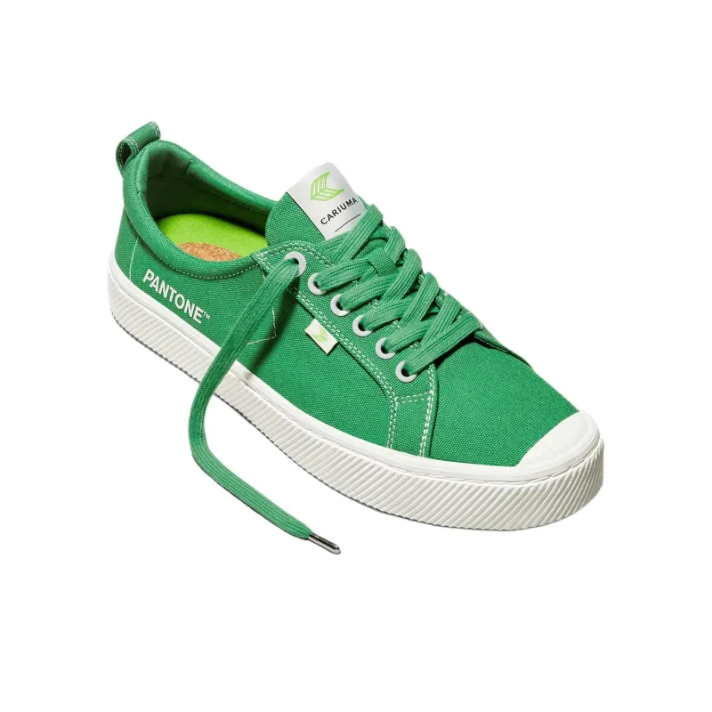 CARIUMA OCA Low-top Canvas Sneakers-1