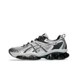Silver Gray