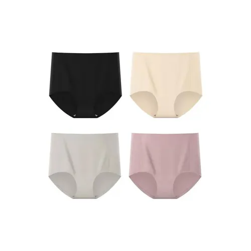 2323 Women's Underpants