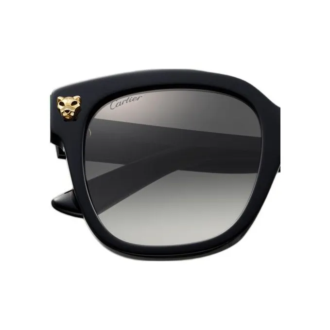 CARTIER Plate Frame Square Sunglasses Unisex Black-2
