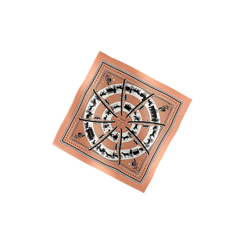 HERMES Silk Scarves Women's Brown-1