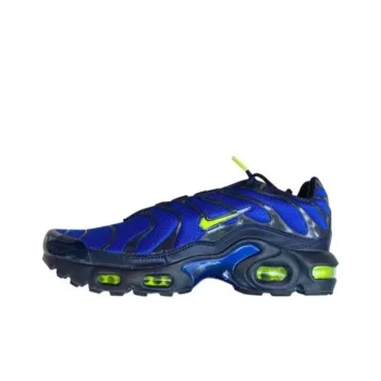 Nike Air Max Plus Hyper Royal Volt GS